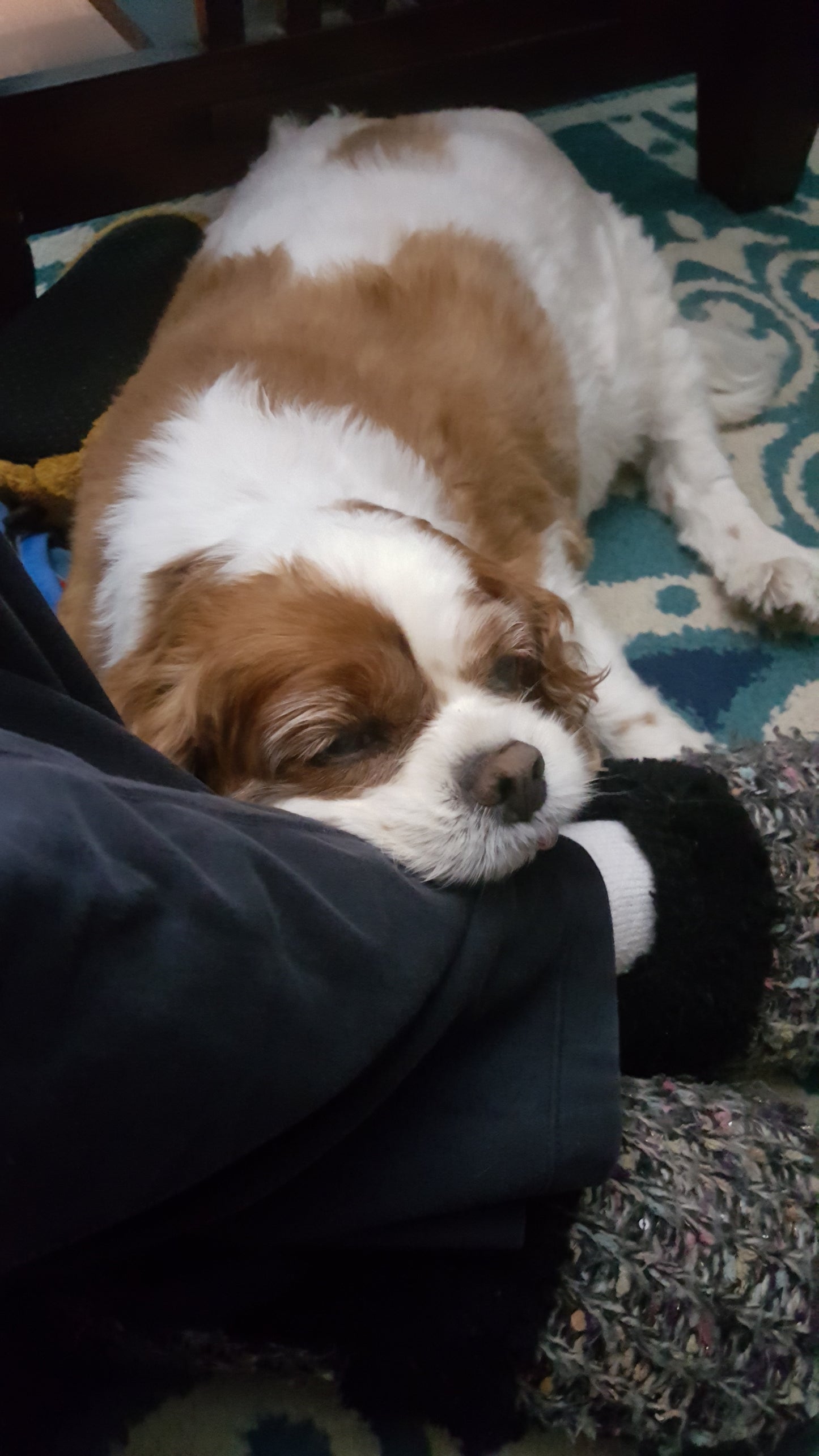 Not just shirt--A Statement Piece--– Style with Purpose