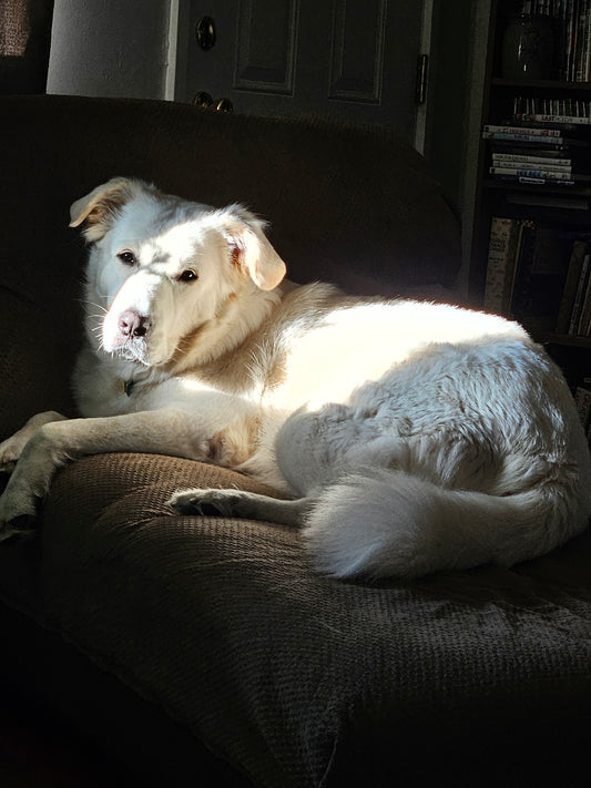 Not Just a Shirt---A Statement